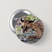Badge Rond 5 Cm Ocelot 02 9x9 (Devant & derrière)