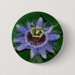 Badge Rond 5 Cm Ocoee flower Passiflora caerulea Fleur de passion