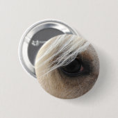 Badge Rond 5 Cm Oeil de cheval Palomino (Devant & derrière)