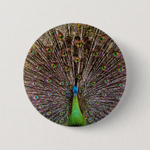 Badge Rond 5 Cm Œuvre d'art élégante de paon et de plume