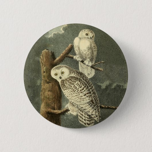 Badge Rond 5 Cm OEuvre d'OEuf Audubon (Devant)