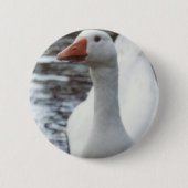 Badge Rond 5 Cm Oie blanche (Devant)