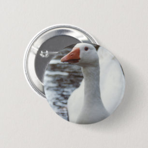 Badge Rond 5 Cm Oie blanche