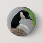 Badge Rond 5 Cm Oie canadienne (Devant)