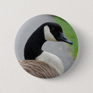Badge Rond 5 Cm Oie canadienne