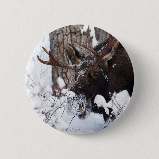 Badge Rond 5 Cm Oie chilienne (Devant)