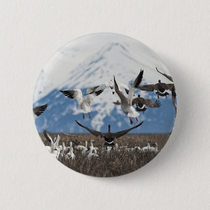 Badge Rond 5 Cm Oies éparses