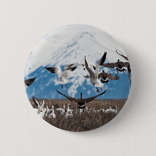 Badge Rond 5 Cm Oies éparses (Devant)