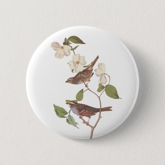 Badge Rond 5 Cm Oiseau Audubon à bec blanc dans le Dogwood (Devant)
