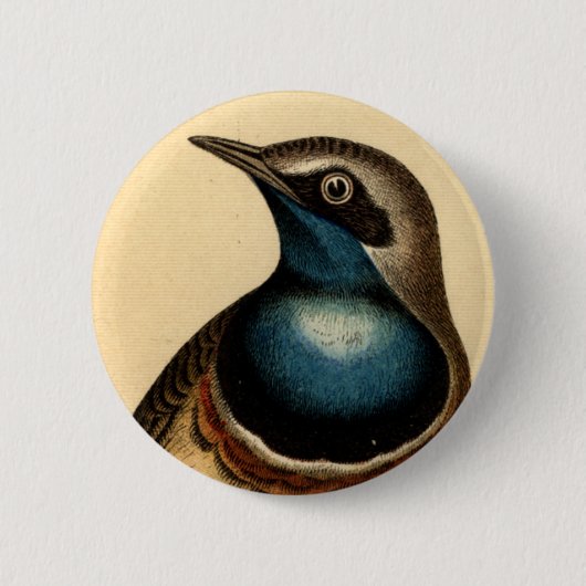 Badge Rond 5 Cm Oiseau bleu de Breasted (Devant)