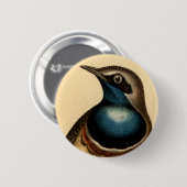 Badge Rond 5 Cm Oiseau bleu de Breasted (Devant & derrière)