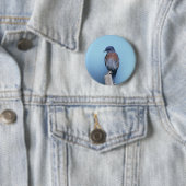 Badge Rond 5 Cm Oiseau bleu occidental (En situation)