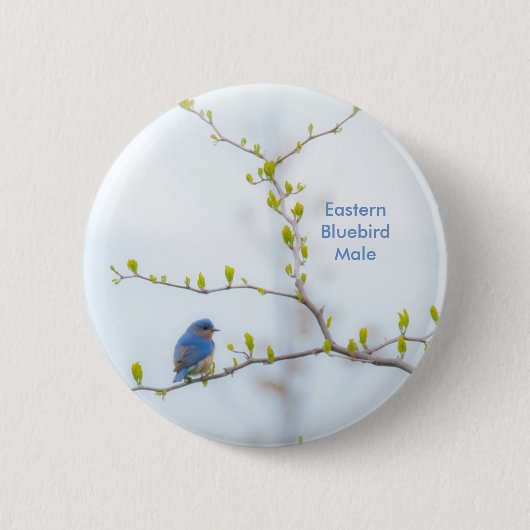 Badge Rond 5 Cm Oiseau bleu oriental d'oiseau animal (Devant)