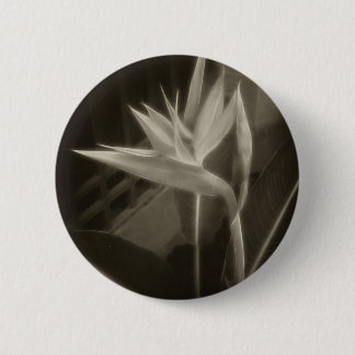 Badge Rond 5 Cm Oiseau du paradis Antiqued 10