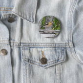 Badge Rond 5 Cm Oiseau en colère (En situation)