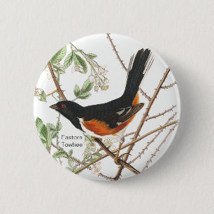 Badge Rond 5 Cm Oiseau ornithologique aux yeux rouges, Audubon