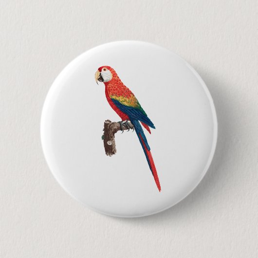 Badge Rond 5 Cm Oiseau rouge de perroquets (Devant)