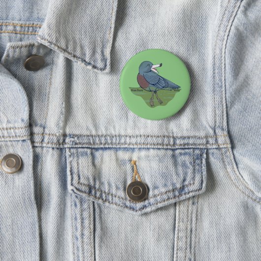 Badge Rond 5 Cm OISEAU Whio Blue Duck NZ (En situation)
