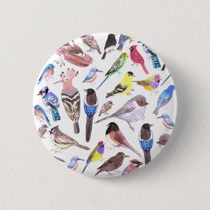 Badge Rond 5 Cm Oiseaux d'Amérique - animaux de compagnie et oise