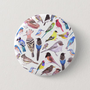 Badge Rond 5 Cm Oiseaux d'Amérique - animaux domestiques et oiseau