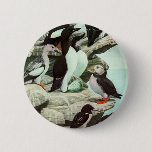 Badge Rond 5 Cm Oiseaux Puffins et Aquatiques Vintage par Louis Fu
