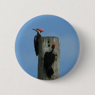 Badge Rond 5 Cm Oiseaux sur un pôle