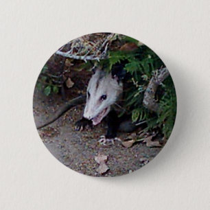 Badge Rond 5 Cm Opossum sauvage