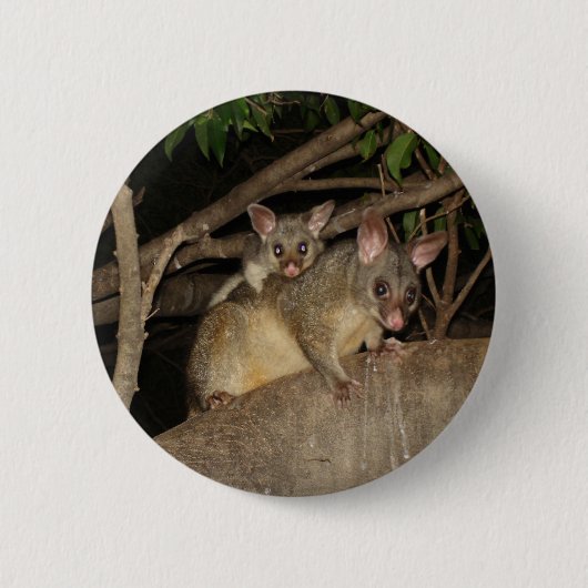 Badge Rond 5 Cm Opossums de Brushtail (Devant)