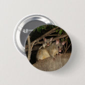 Badge Rond 5 Cm Opossums de Brushtail (Devant & derrière)