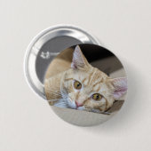 Badge Rond 5 Cm Orange Tabby Cat Cute  (Devant & derrière)