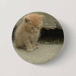 Badge Rond 5 Cm Orange Tabby Kitten
