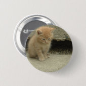 Badge Rond 5 Cm Orange Tabby Kitten (Devant & derrière)