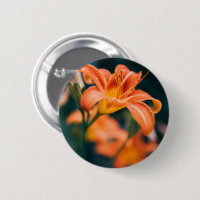 Orange Tiger Lily Photo