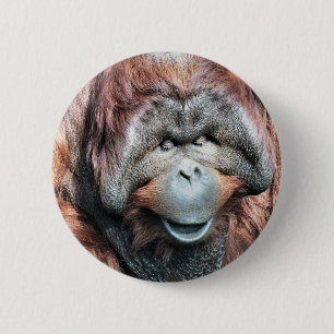 BADGE ROND 5 CM ORANGUTAN