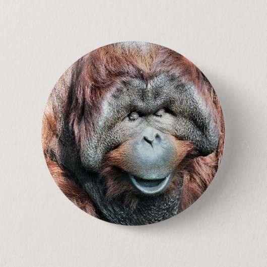BADGE ROND 5 CM ORANGUTAN (Devant)