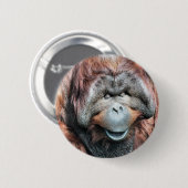 BADGE ROND 5 CM ORANGUTAN (Devant & derrière)