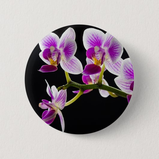 Badge Rond 5 Cm Orchidée blanche et violette (Devant)