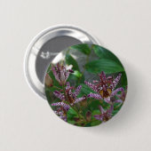 Badge Rond 5 Cm Orchidée blanche rayée violette rose comme lys de  (Devant & derrière)