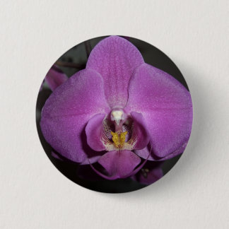 Badge Rond 5 Cm Orchidée pourpre jaune principale de léopard