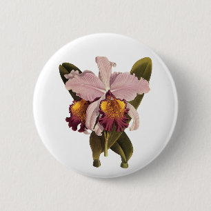 Badge Rond 5 Cm Orchidée vintage violette Cattleya, Fleurs tropica