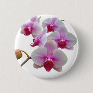 Badge Rond 5 Cm Orchidées de teigne rose - Phalaenopsis