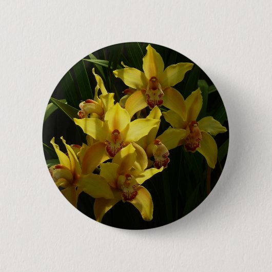 Badge Rond 5 Cm Orchidées Jaunes Sunlit Floral (Devant)