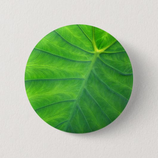 Badge Rond 5 Cm Oreilles éléphantes - Colocasia (Devant)