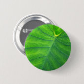 Badge Rond 5 Cm Oreilles éléphantes - Colocasia (Devant & derrière)