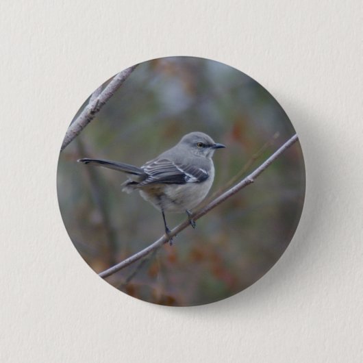 Badge Rond 5 Cm Ornithologie de moqueur (Devant)
