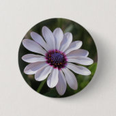 Badge Rond 5 Cm Osteospermum African Daisy (Devant)