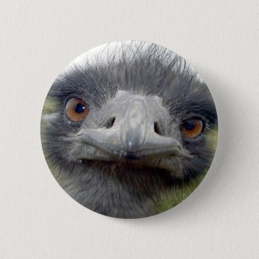 Badge Rond 5 Cm Ostrich (Devant)