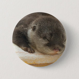 Badge Rond 5 Cm Otter endormi