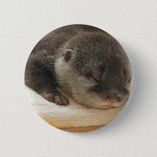 Badge Rond 5 Cm Otter endormi (Devant)