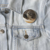 Badge Rond 5 Cm Otter endormi (En situation)